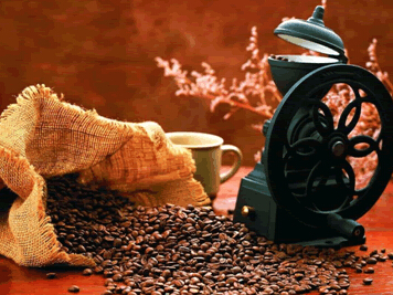 塞纳左岸咖啡,咖啡历史