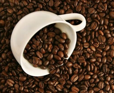 塞纳左岸咖啡,咖啡豆的原品种