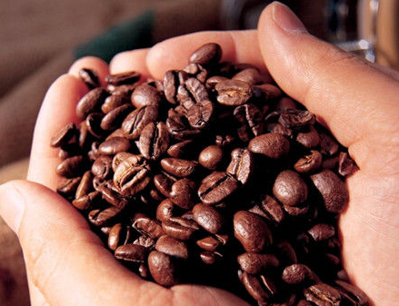 塞纳左岸咖啡,咖啡豆鲜度辨别