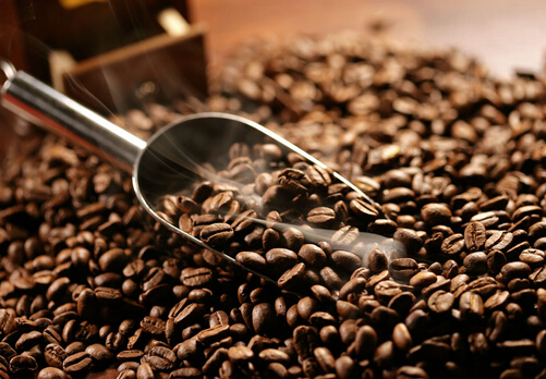 塞纳左岸咖啡,咖啡豆的规格