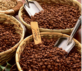 塞纳左岸咖啡,咖啡豆选购