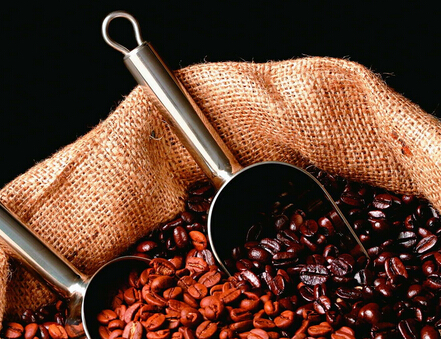 塞纳左岸咖啡,咖啡豆分类
