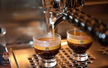 阿拉比卡咖啡和罗伯斯塔咖啡有什么区别？