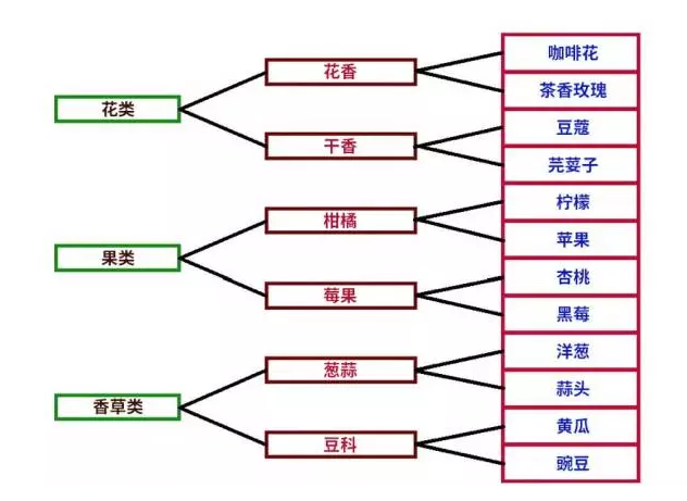 咖啡杯测,香气,咖啡