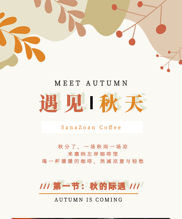 塞纳左岸咖啡，咖啡店加盟